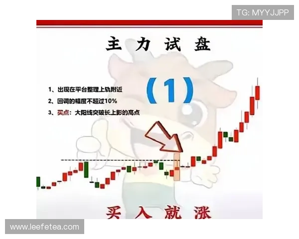 亚星国际金融投资指南：新手入门到高级操作的完整实用技巧